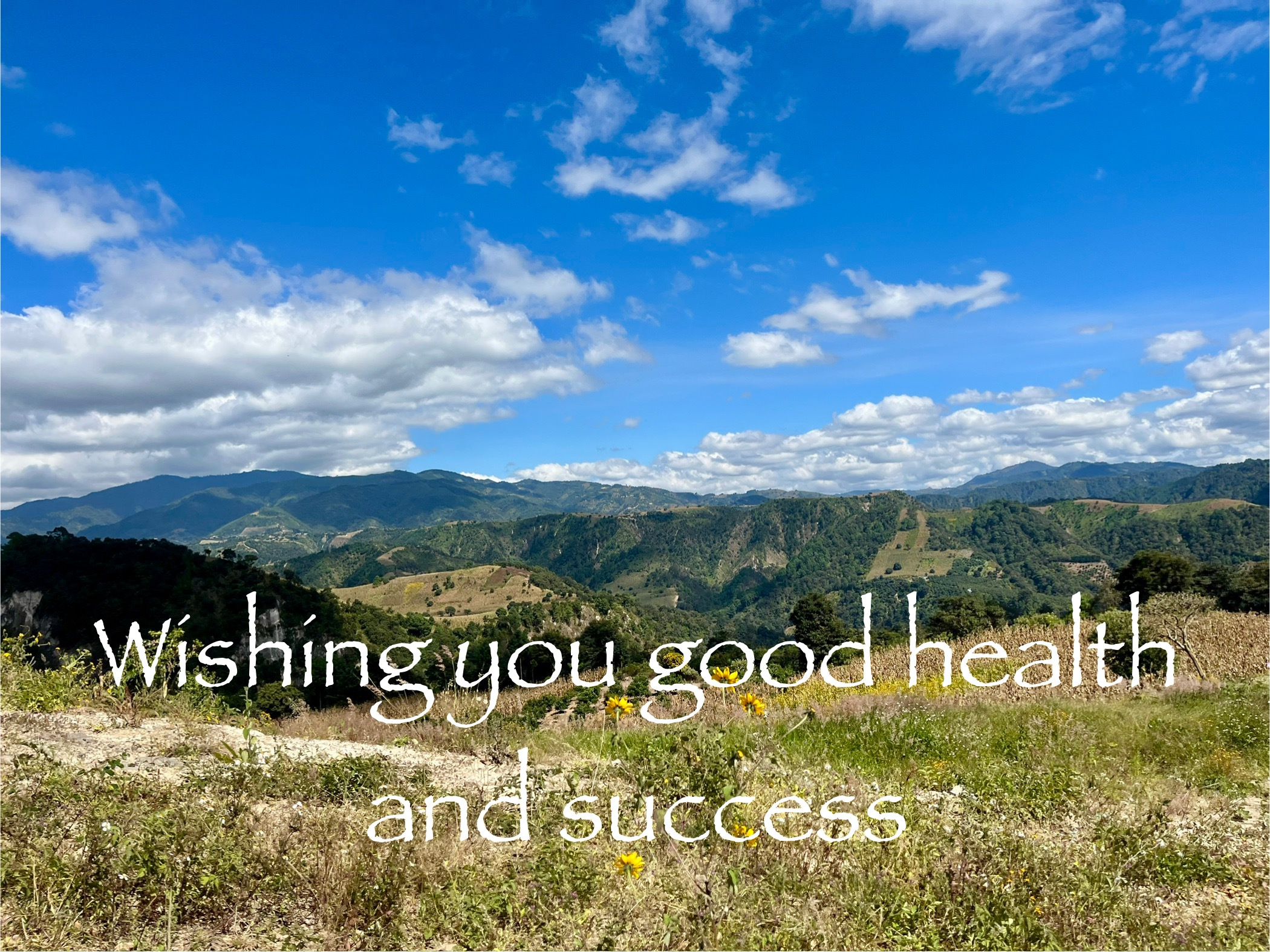 white wall frame placeholder